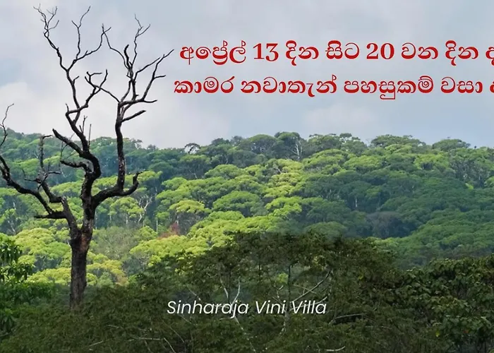 Sinharaja Vini Villa