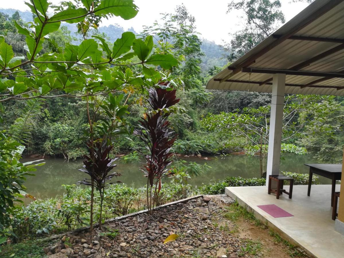 Sinharaja Vini * Deniyaya