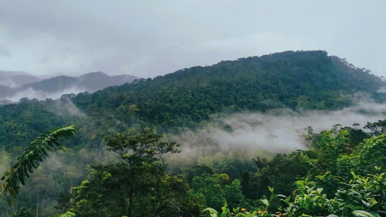 Sinharaja Vini Deniyaya