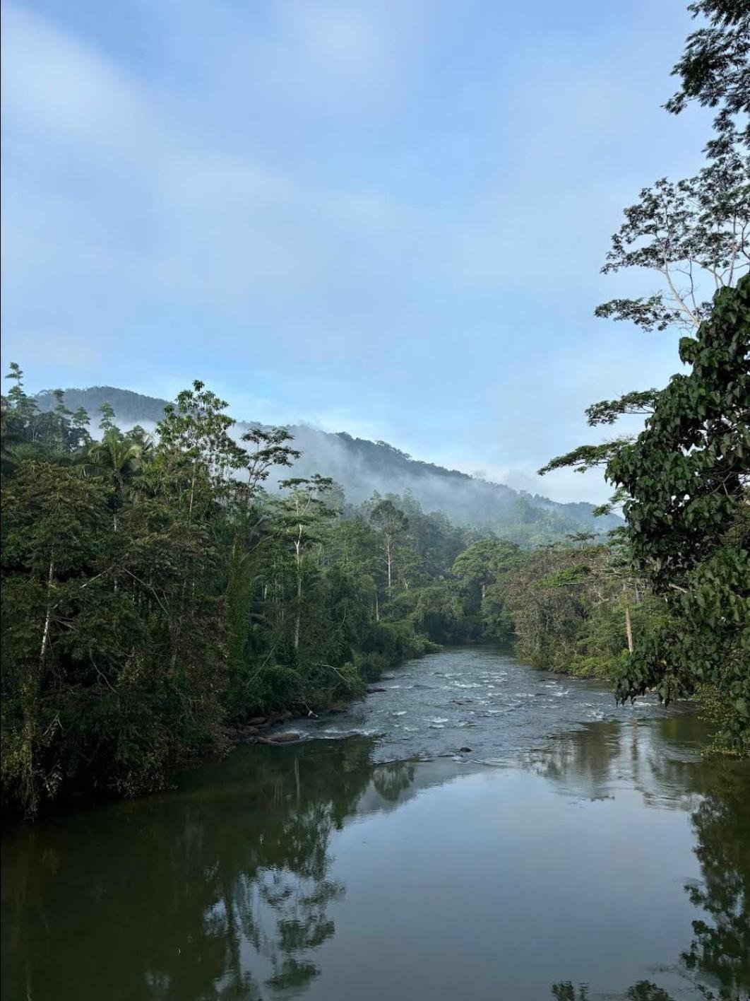 Sinharaja Vini Deniyaya
