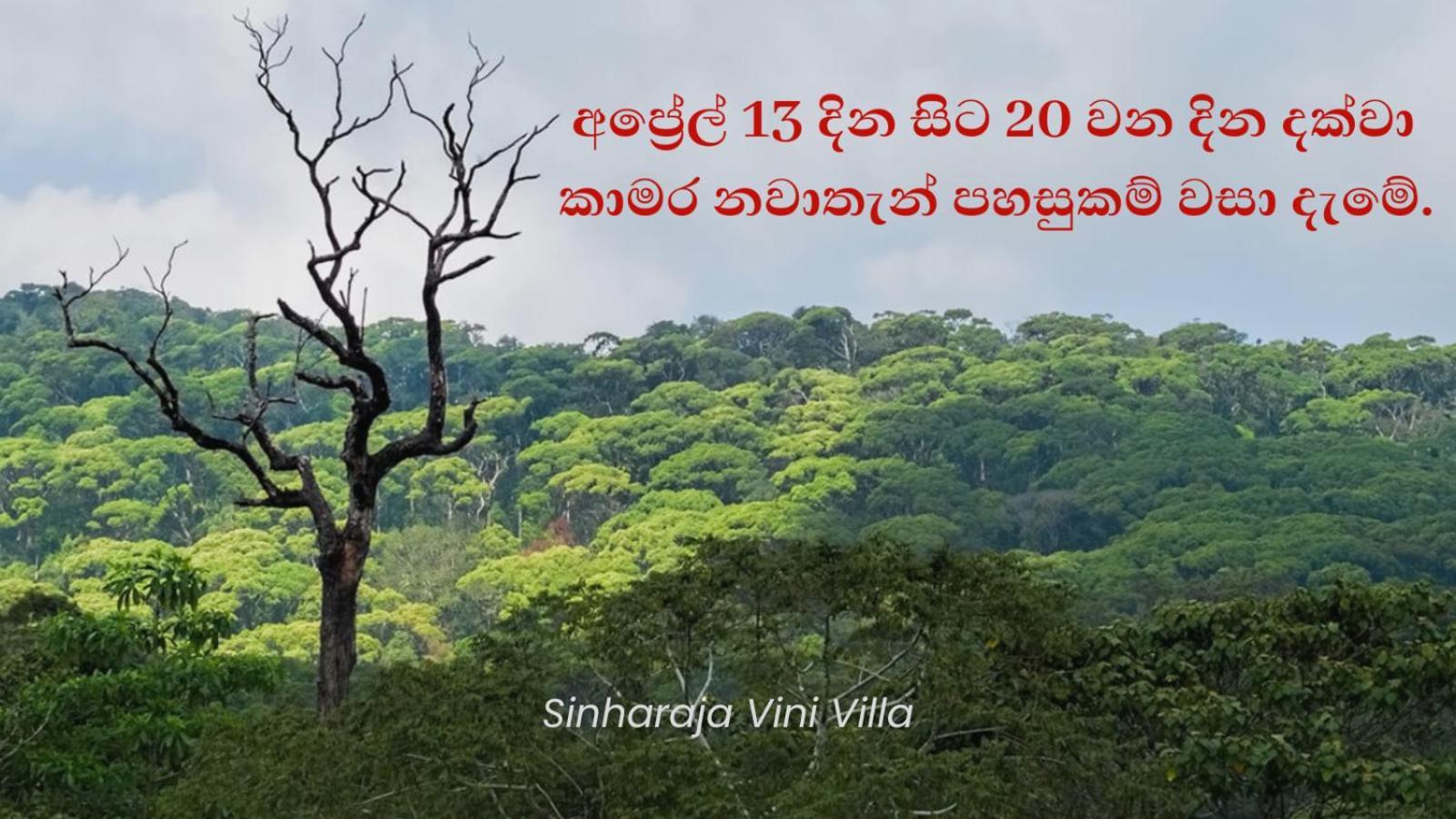 विला Sinharaja Vini